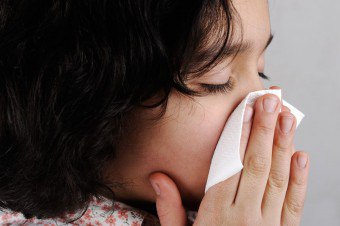Alergi terhadap hama habuk: sebab dan gejala