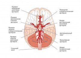 Vad är fälld med en kränkning av hjärnans blodcirkulation?