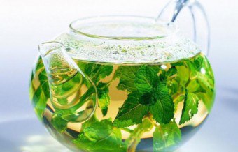 Kurangkan Berat dengan Stevia Herb