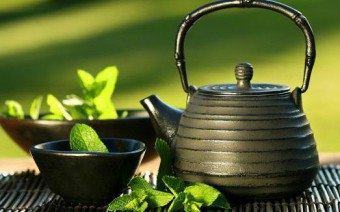 Kurangkan Berat dengan Stevia Herb