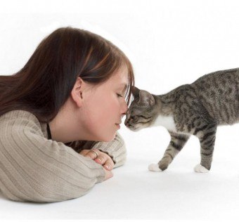 วิธีและสิ่งที่จะต่อสู้กับลมหายใจค้างในแมว?