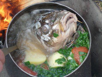 Cum se prepară pește de gheață