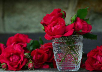 Ako zachovať príjemné spomienky: naučte sa starať o kytice ruží