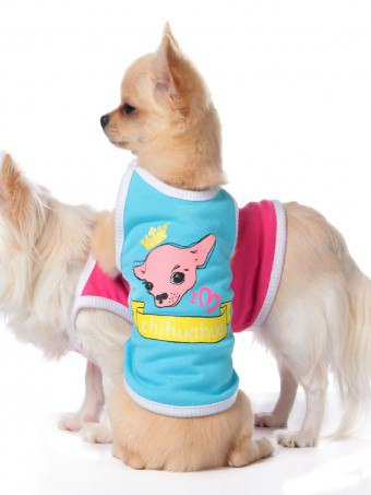 Hvordan sy en T-skjorte til en hund: et fasjonabelt antrekk for kjæledyret ditt