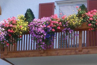 Aké sú balkónové krabice na kvety a ako ich urobiť sami?