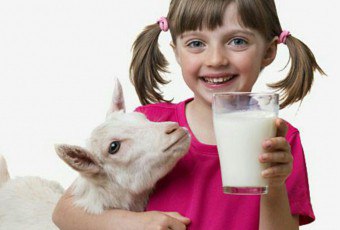 นมแพะสำหรับเด็ก: ประโยชน์และเป็นอันตราย