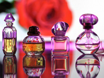 Almíscar em perfumaria seletiva: como é extraído e como cheira?