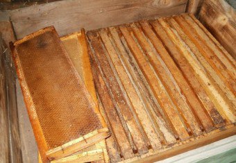 Steam vosktopupka, of hoe milieuvriendelijke grondstoffen in uw bijenstal te krijgen?