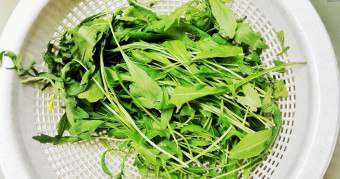 arugula의 유용한 특성, 심은 방법, 재배 및 저장 방법