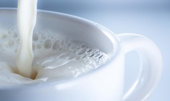 Propolis med mjölk: metoder för applicering
