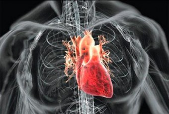 Jantung berdegup keras: apa yang perlu dilakukan?