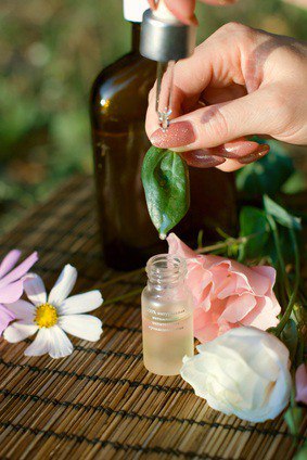 Sophora giapponese: applicazione di una pianta in medicina e cosmetologia