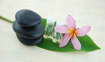 Sophora giapponese: applicazione di una pianta in medicina e cosmetologia
