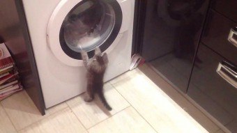 เครื่องซักผ้าจะกระโดดขึ้นเมื่อกด: วิธีรับมือกับปัญหา?
