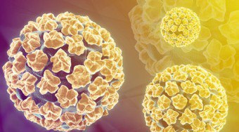 HPV semasa mengandung: mungkin risiko dan kaedah memerangi jangkitan